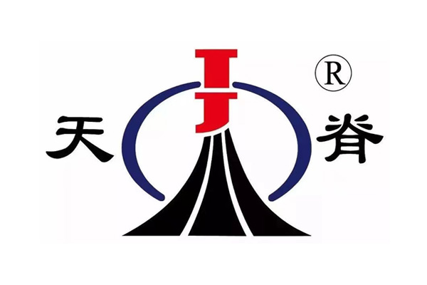 山西天脊煤化工集团有限公司