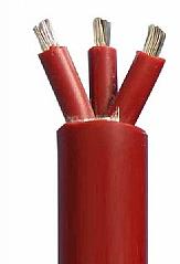 14570619417007.png 11.png