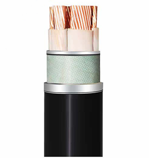 聚氯乙烯绝缘电力电缆